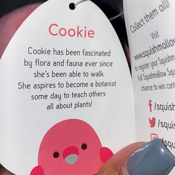 🧸Squishmallow “ Cookie” flamingo
3.5” clip
BNWT - Picture 2 of 3